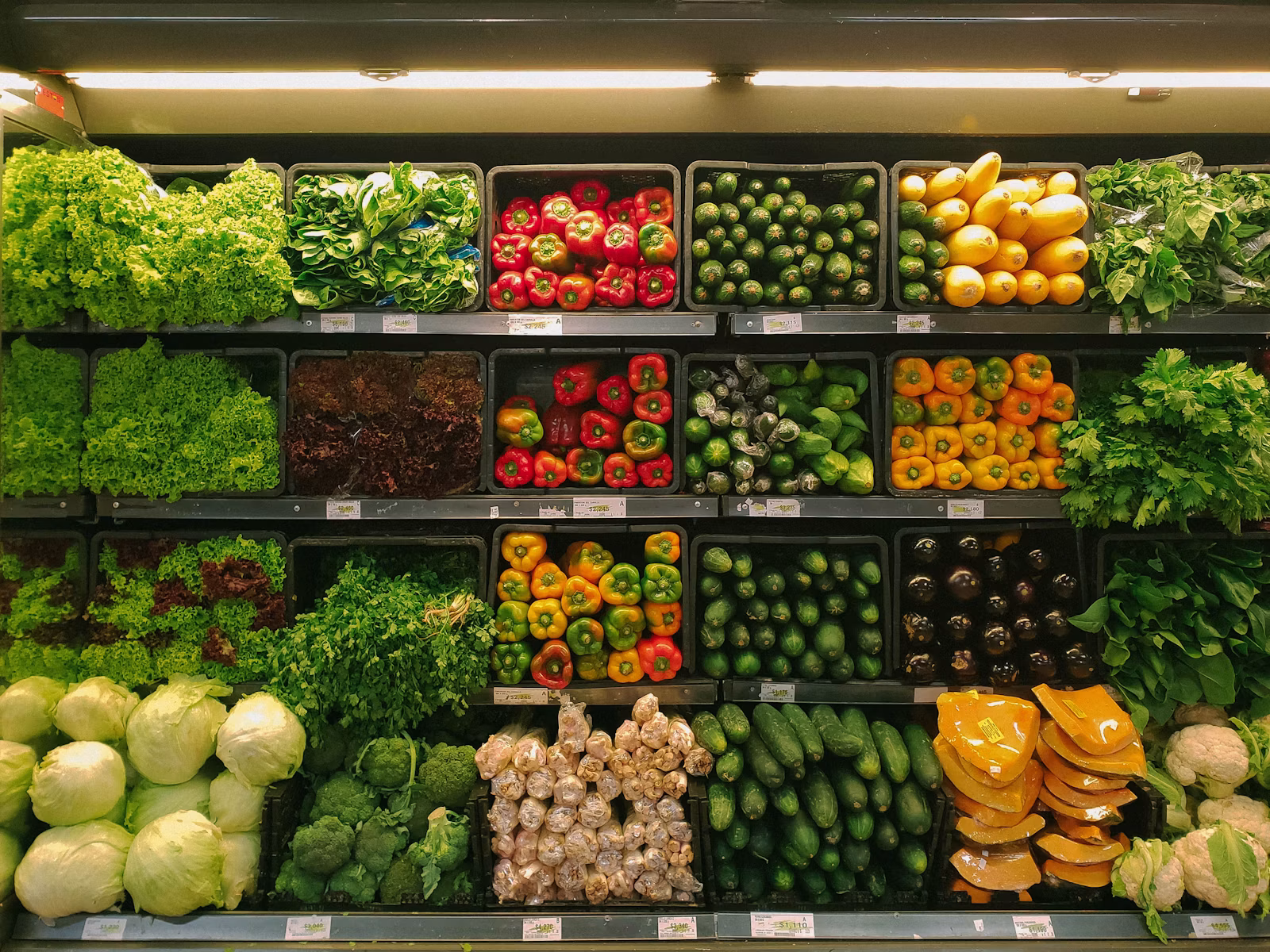 Up Alimentos